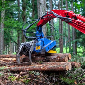 Tree Removal & Stump Grinding 02