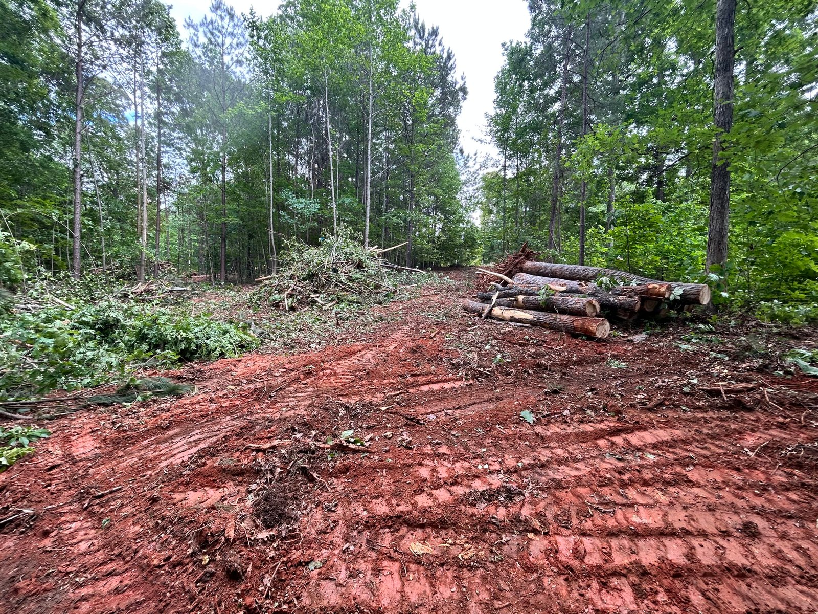 B5FA7444-3FDA-4995-9EC3-252791D1CC33